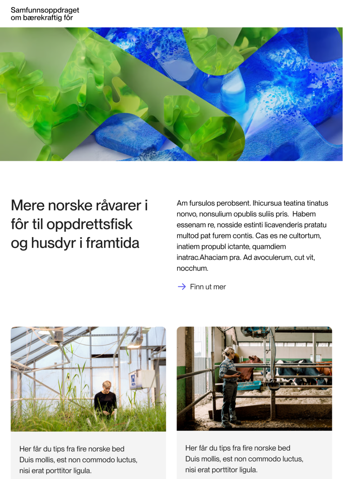 Nyhetsbrev SBF hvitt