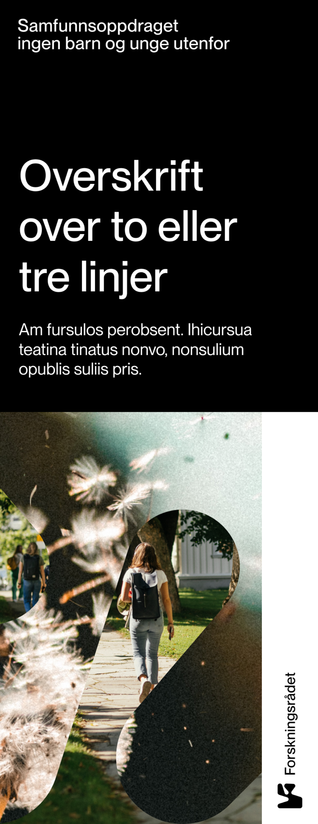 Rollup D 01 850x2200mm 1