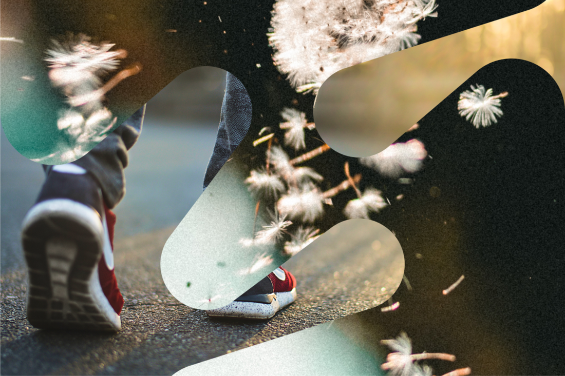 SIBUU Brandbook Temabilde 01