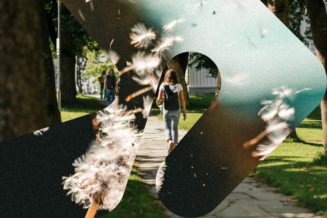 SIBUU Brandbook Temabilde 02