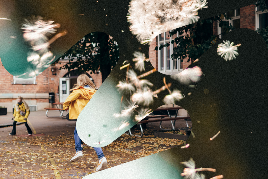 SIBUU Brandbook Temabilde 03